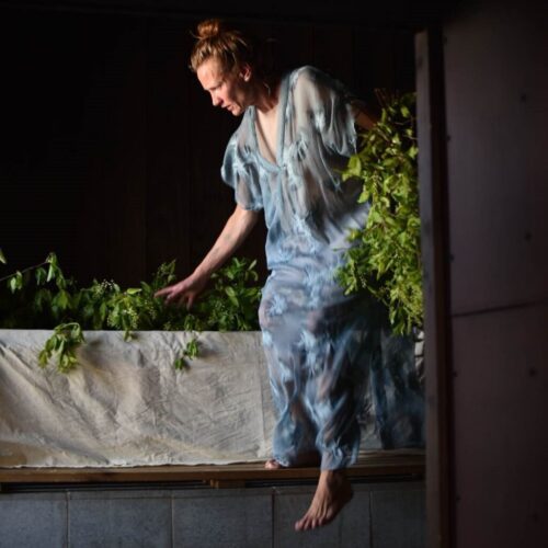 Taimed saunas Taimed saunas