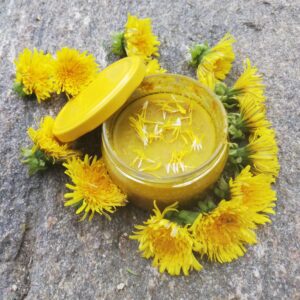 SAUNAMESI VÄRSKETE VÕILILLEDEGA