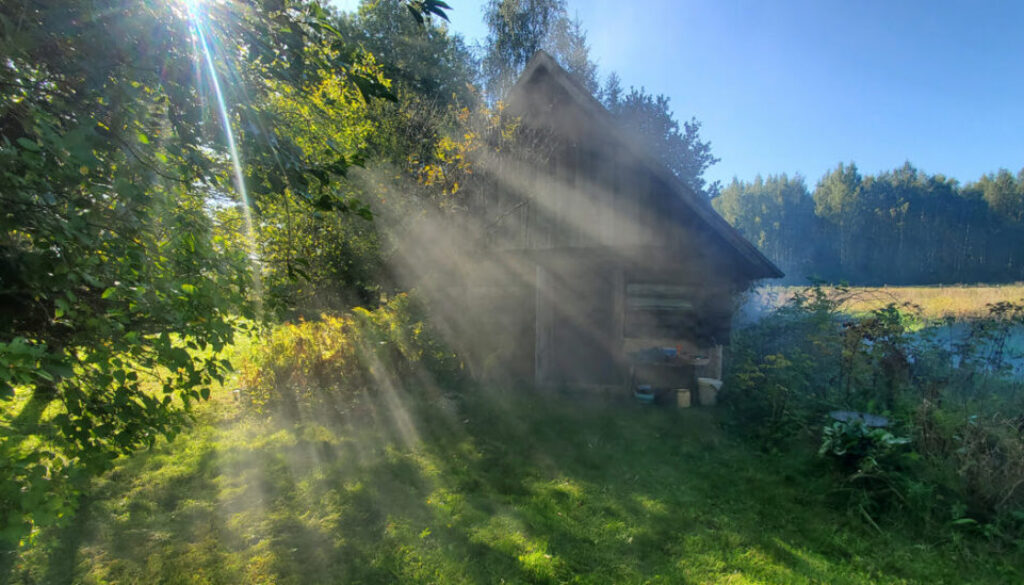 Saun päiksepaistes
